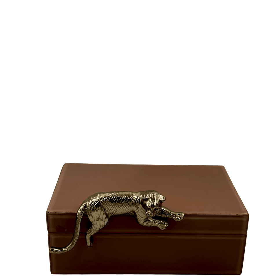 Somon Renkli Cam Dekoratif Kutu