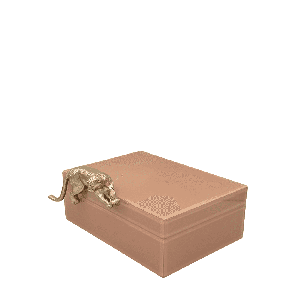 Somon Renkli Cam Dekoratif Kutu