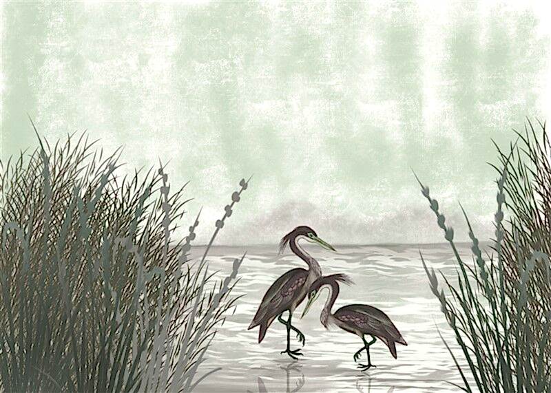 Özel Üretim EB0200