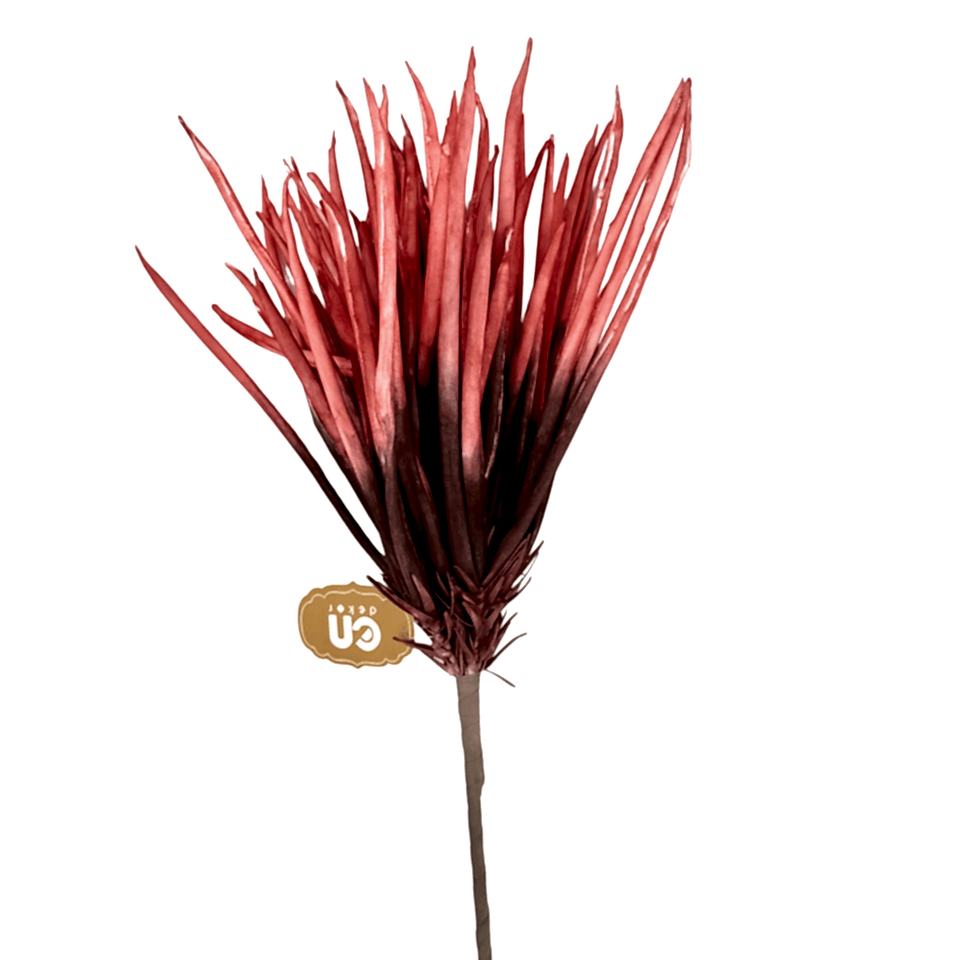 Soluk Kırmızı Çiçek