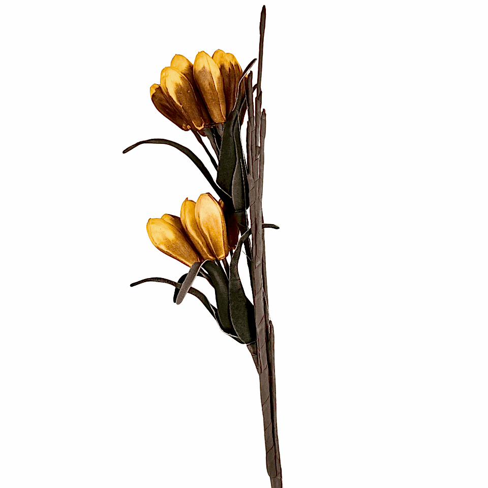 Buğday Çiçeği Sarı Kahve