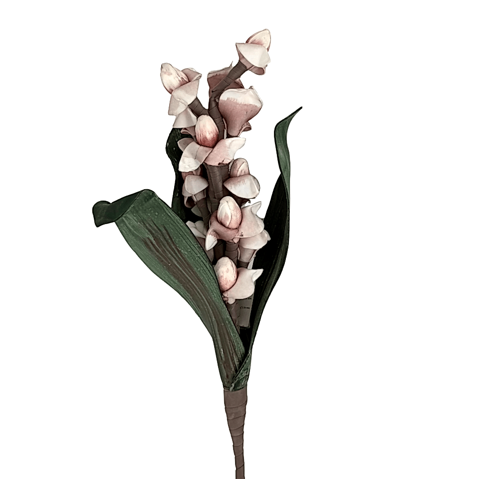 Tenit Çiçeği Pembe