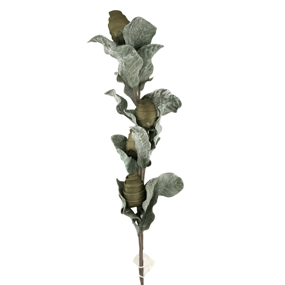 Yeşil 5'li Spiraller