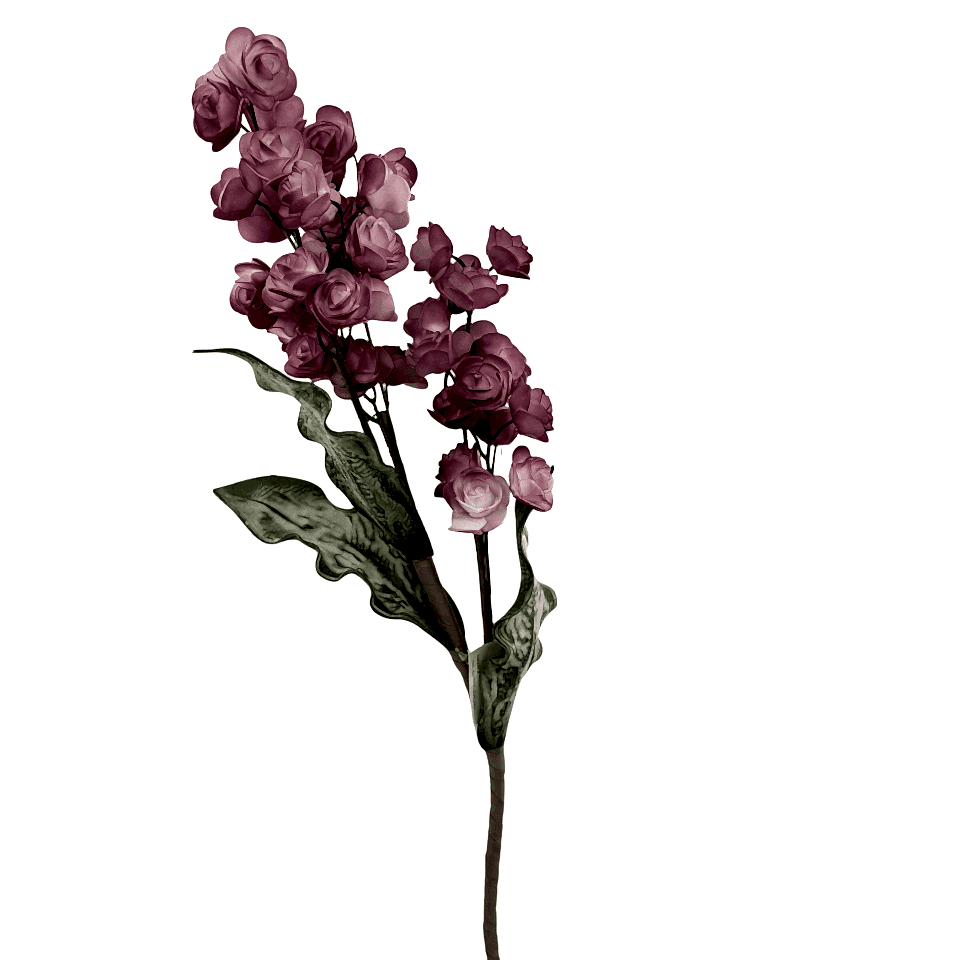 Yeşil 4'lü Frenk Üzümlü Dal