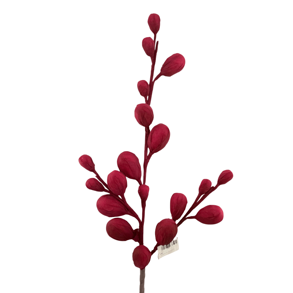 Tomurcuk Dal Kırmızı