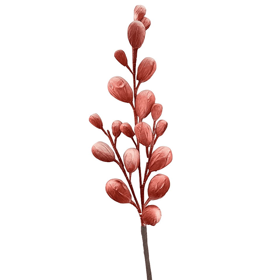 Tomurcuk Dal Turuncu Kırmızı