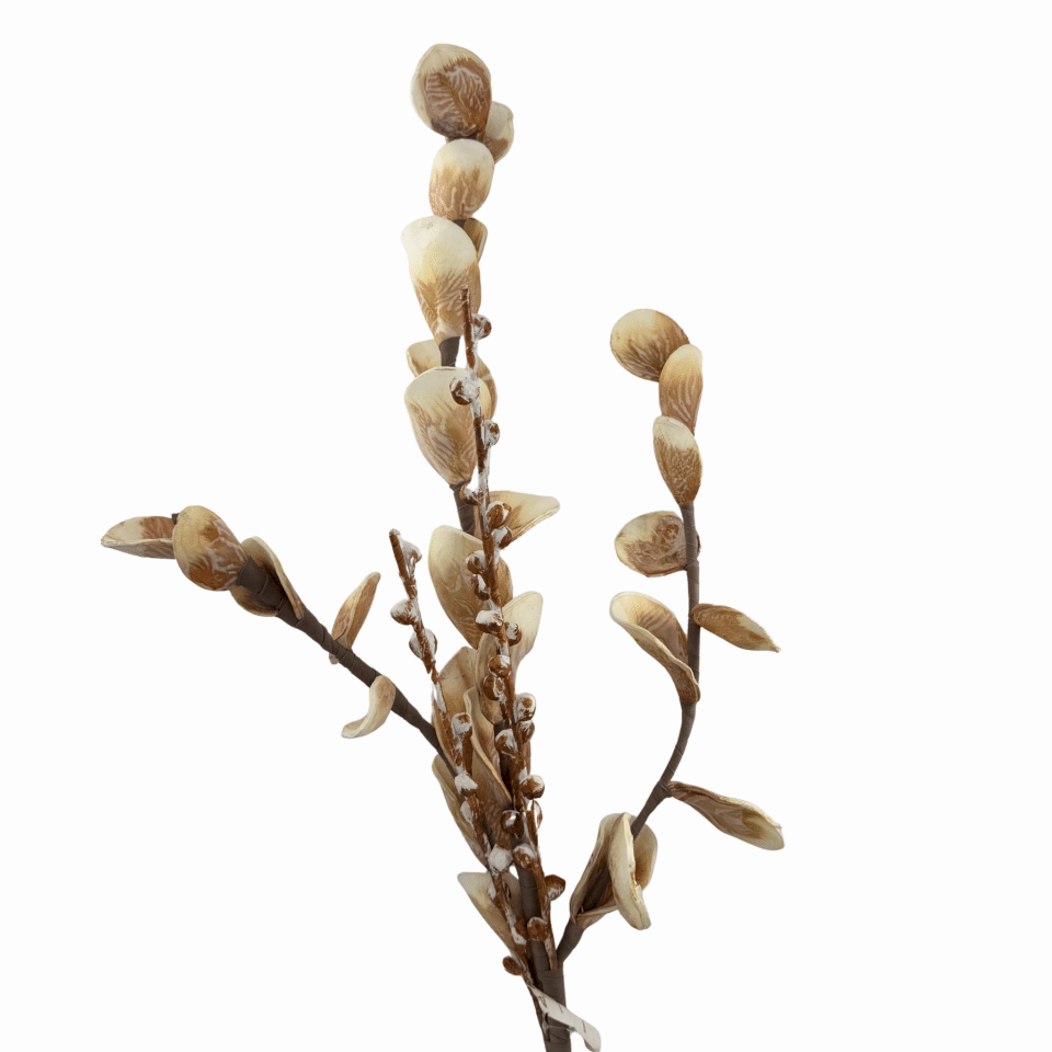 Nora Kahve Beyaz Tomurcuklu