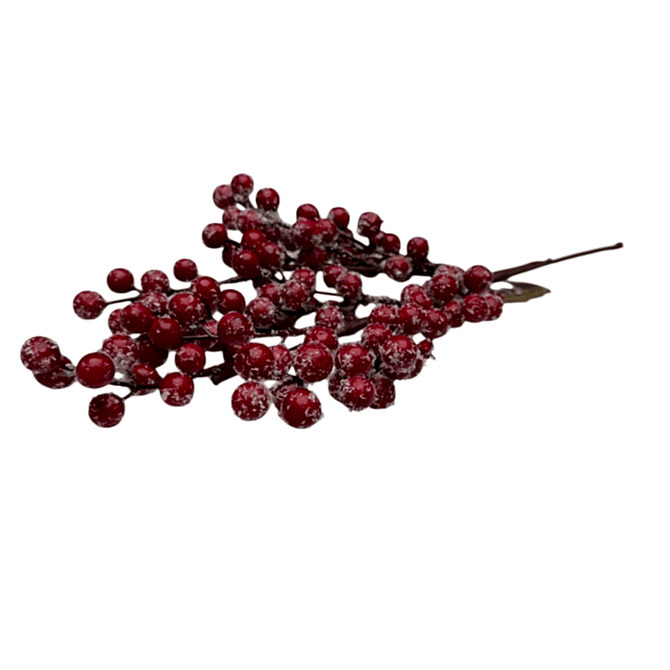 KARLI KIRMIZI KOKİNA