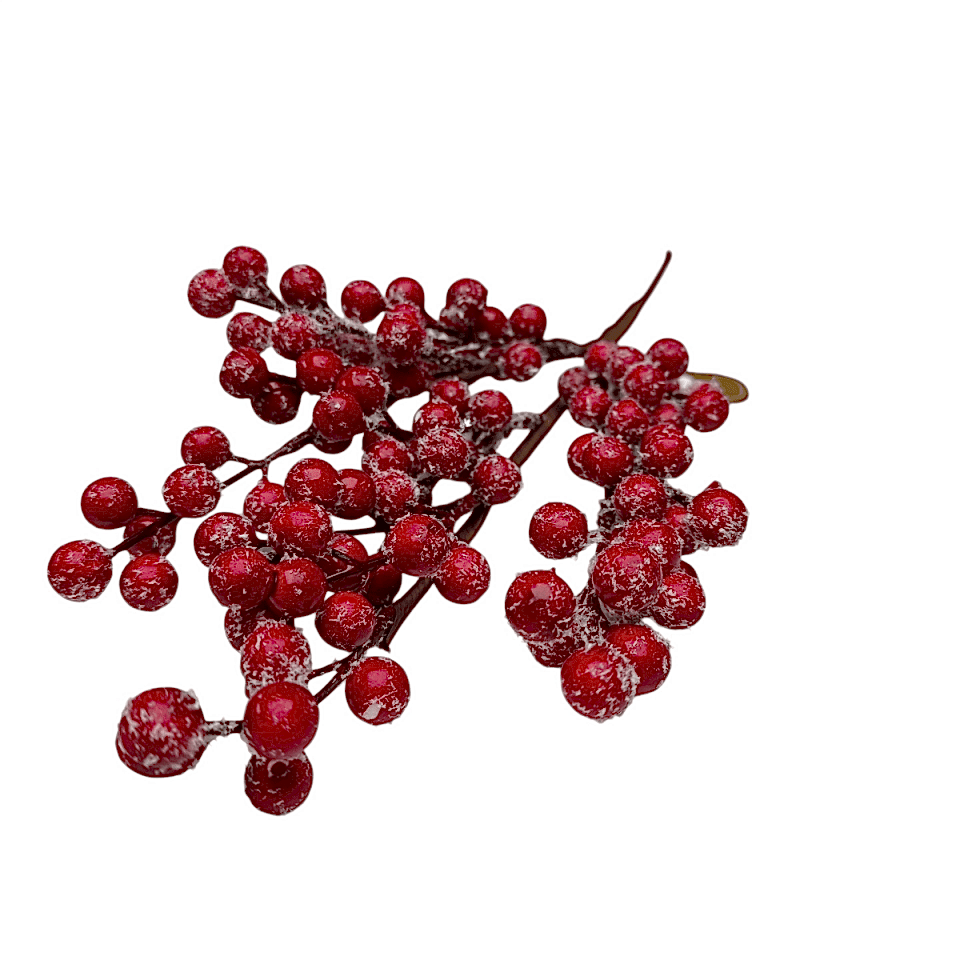 KARLI KIRMIZI KOKİNA