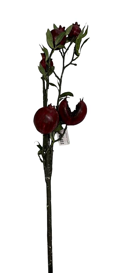 YAPAY 5Lİ AÇIK NAR