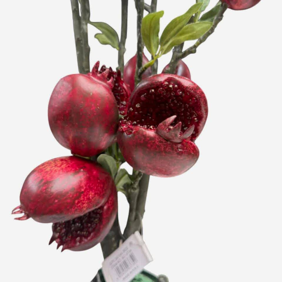 YAPAY 5Lİ AÇIK NAR