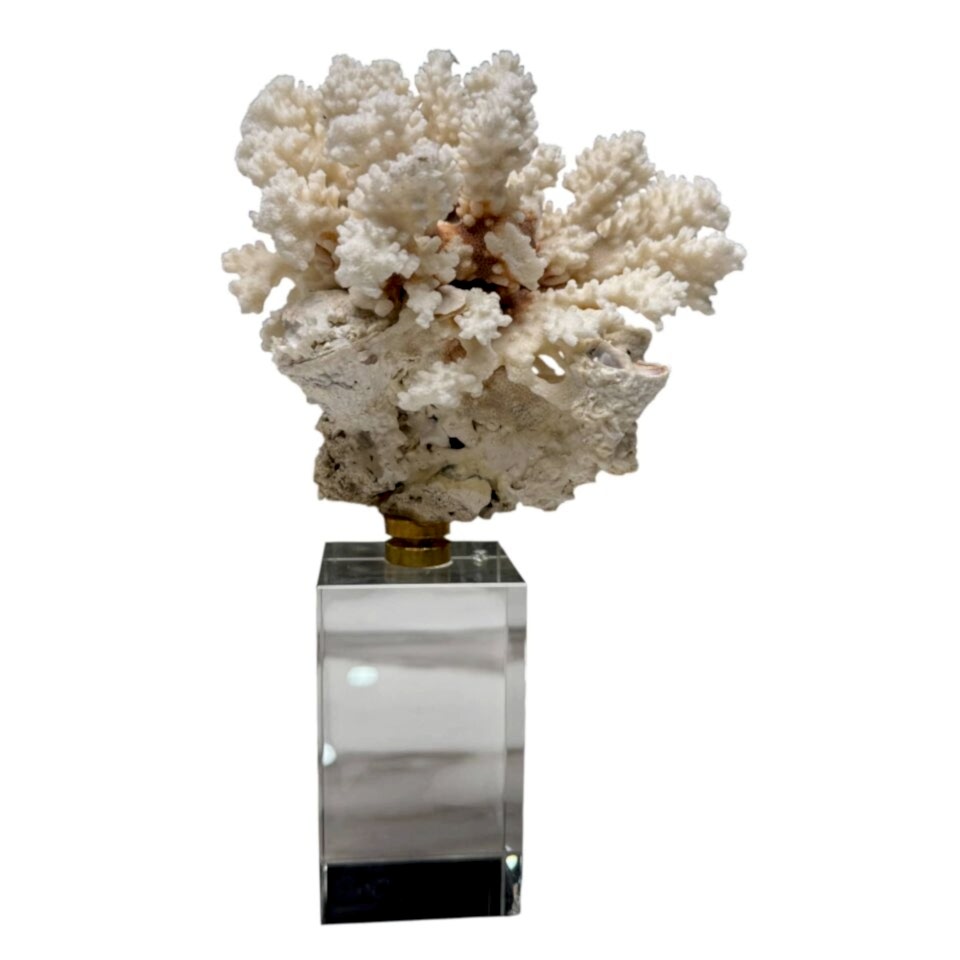 KRİSTAL TAŞLI MERCAN OBJE