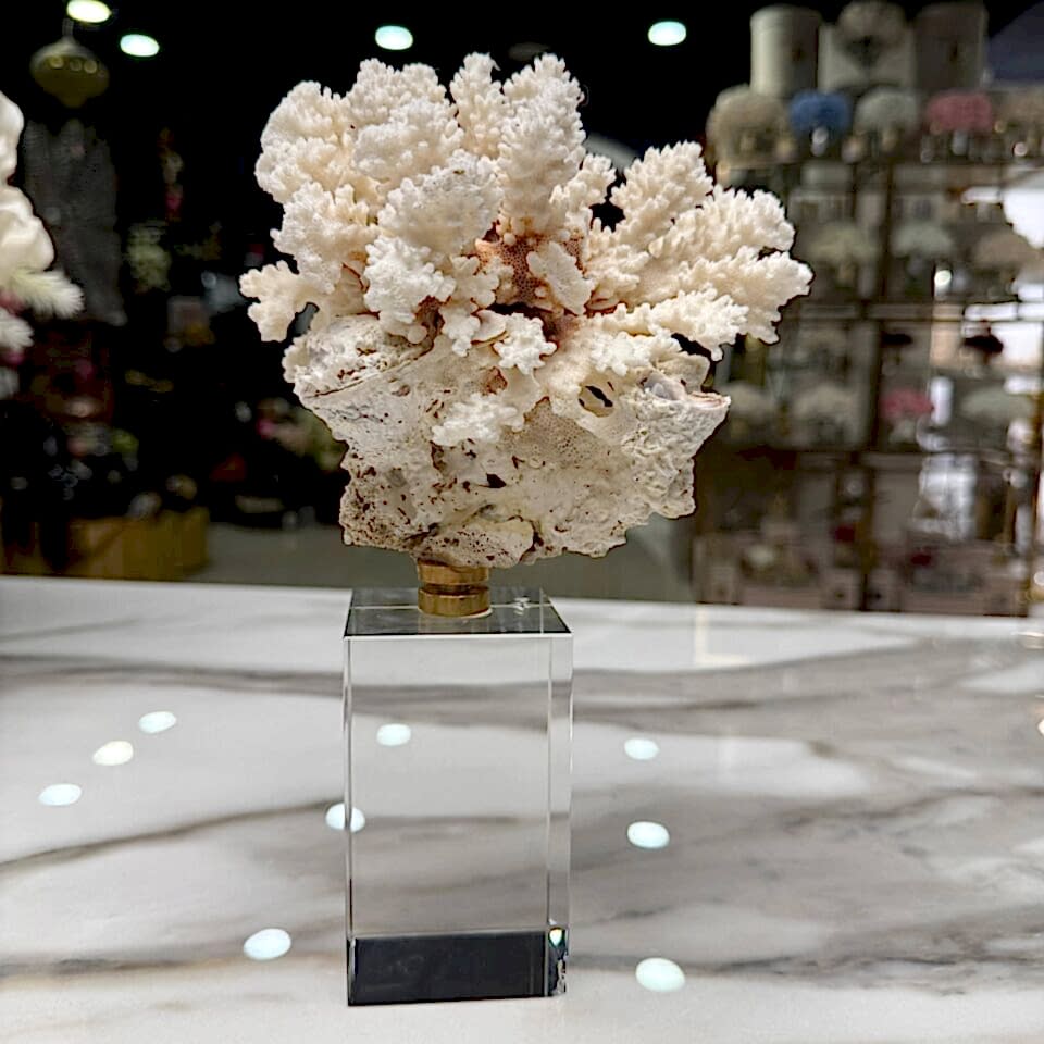 KRİSTAL TAŞLI MERCAN OBJE